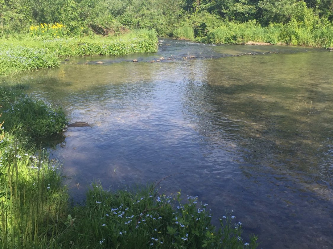 Hakanoki Nature Park-入善町必去景点
