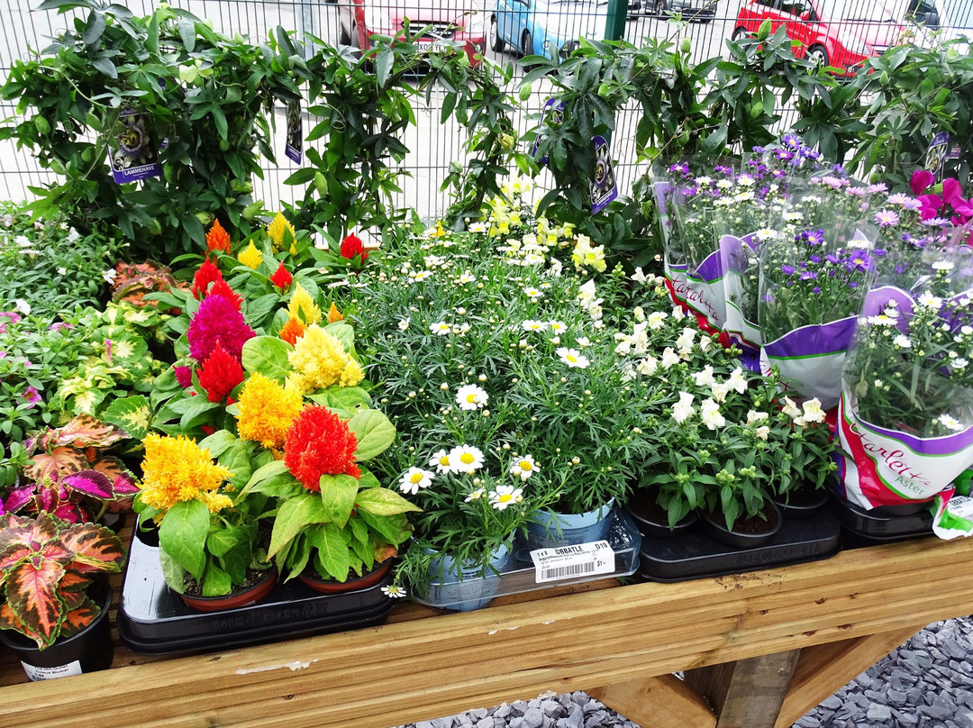 The Mill Outlet & Garden Centre-Batley必去景点