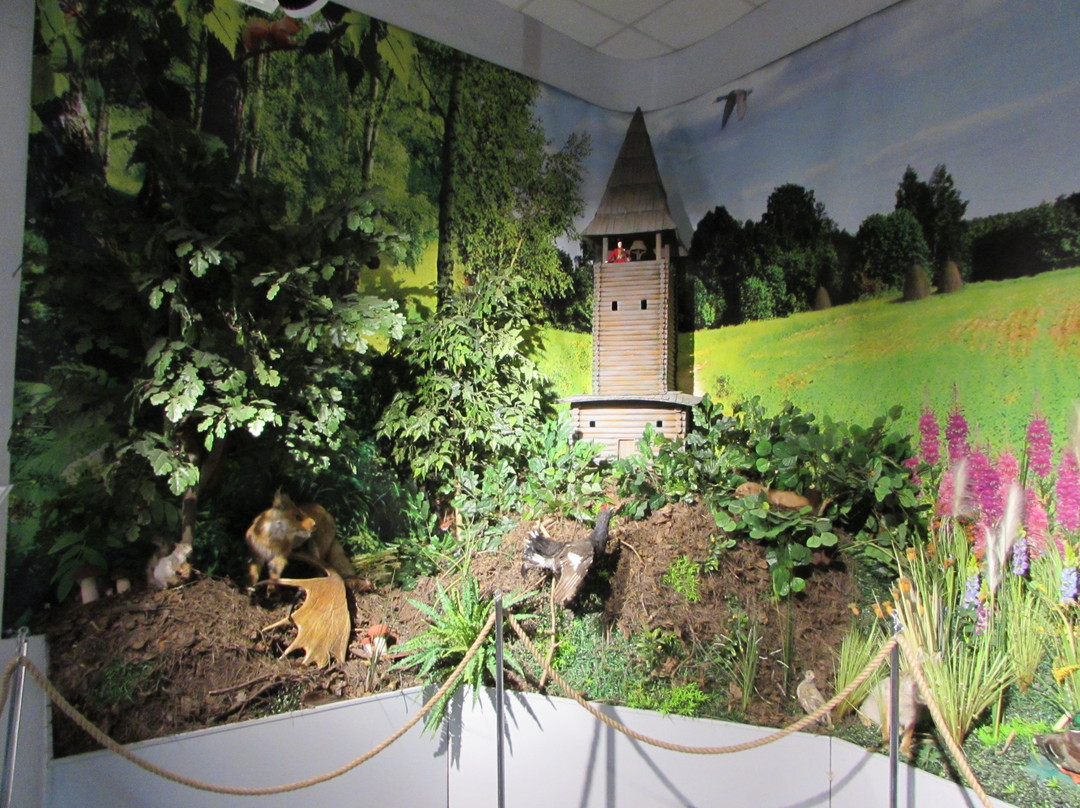 Reutov Museum of History and Local Lore-Reutov必去景点