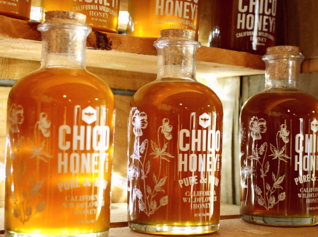 Bishop's Pumpkin Farm-Wheatland必去景点