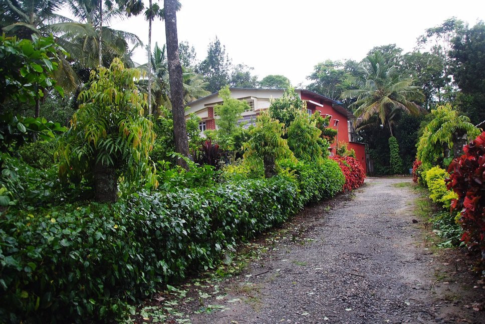 Ashirwad Estate HomeStay主图