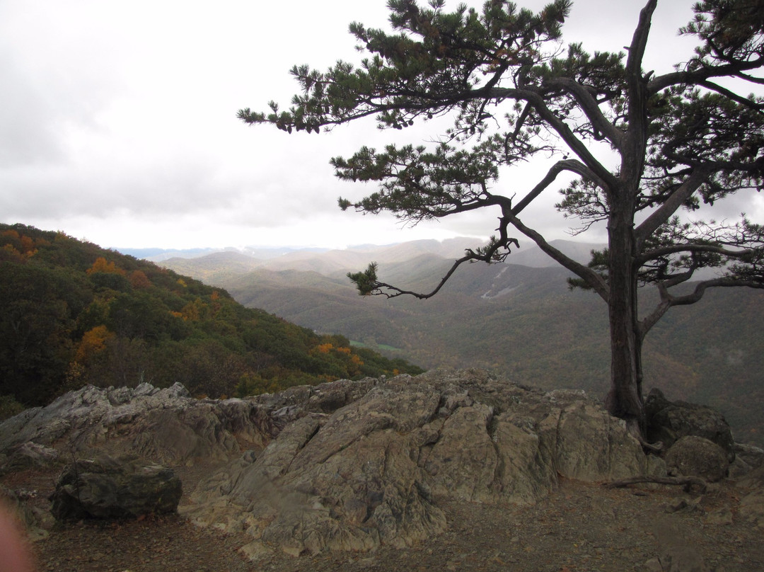 Raven's Roost Overlook-Lyndhurst必去景点