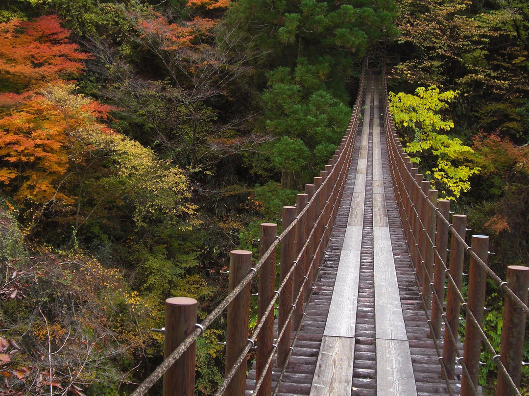 Momigi Suspension Bridge-八代市必去景点