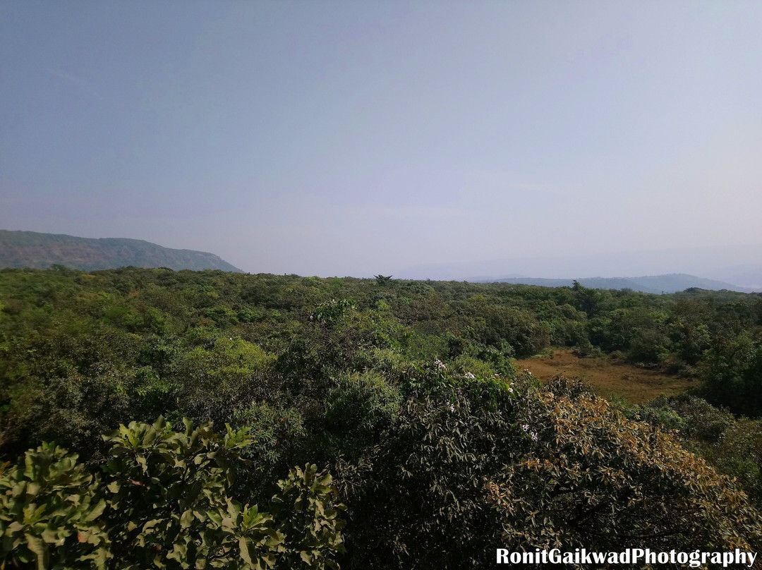 Radhanagari Wildlife Sanctuary景点图片