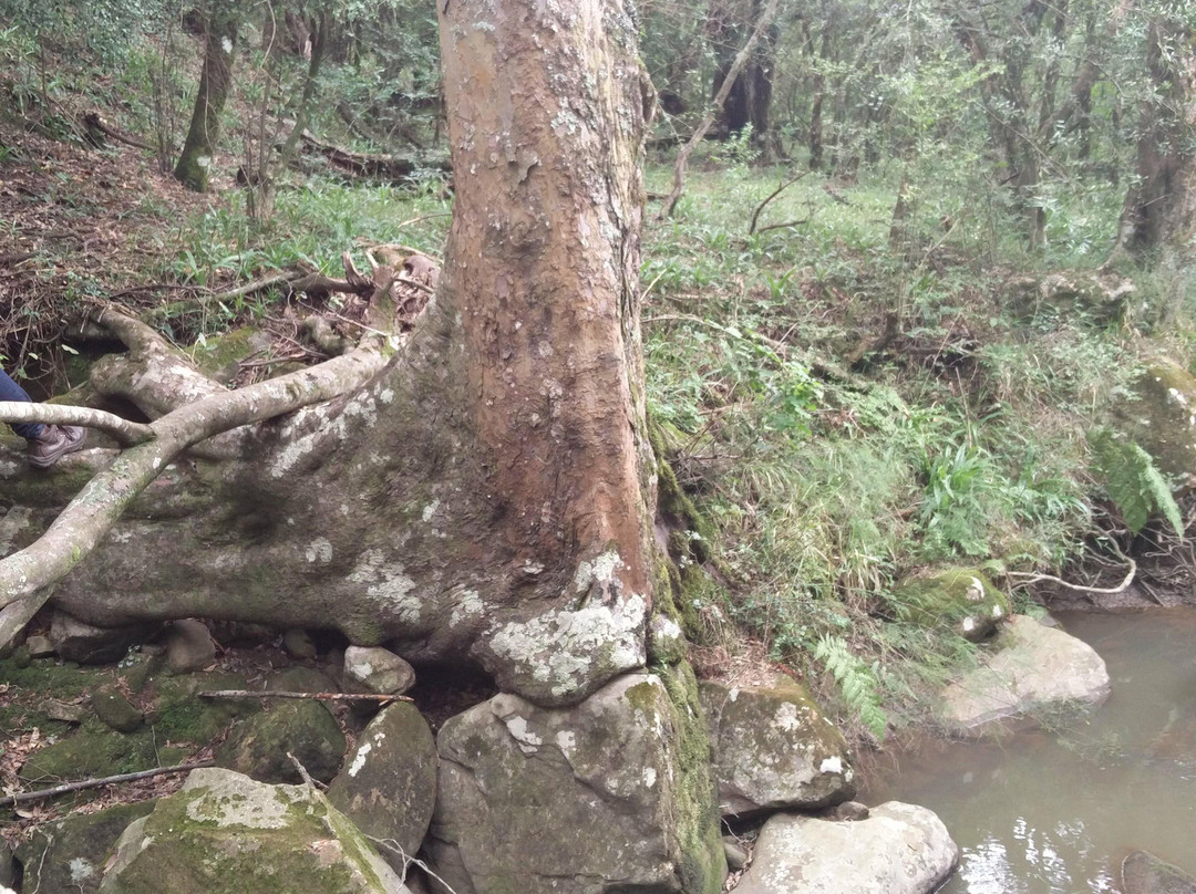 The Vulture Trail-柏维必去景点