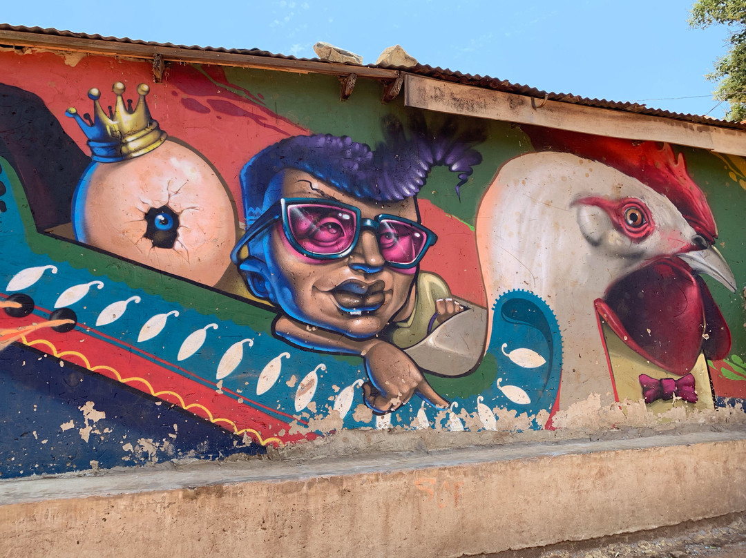 Soweto & Other Townships - Daily tours through the eyes of a photojournalist景点图片