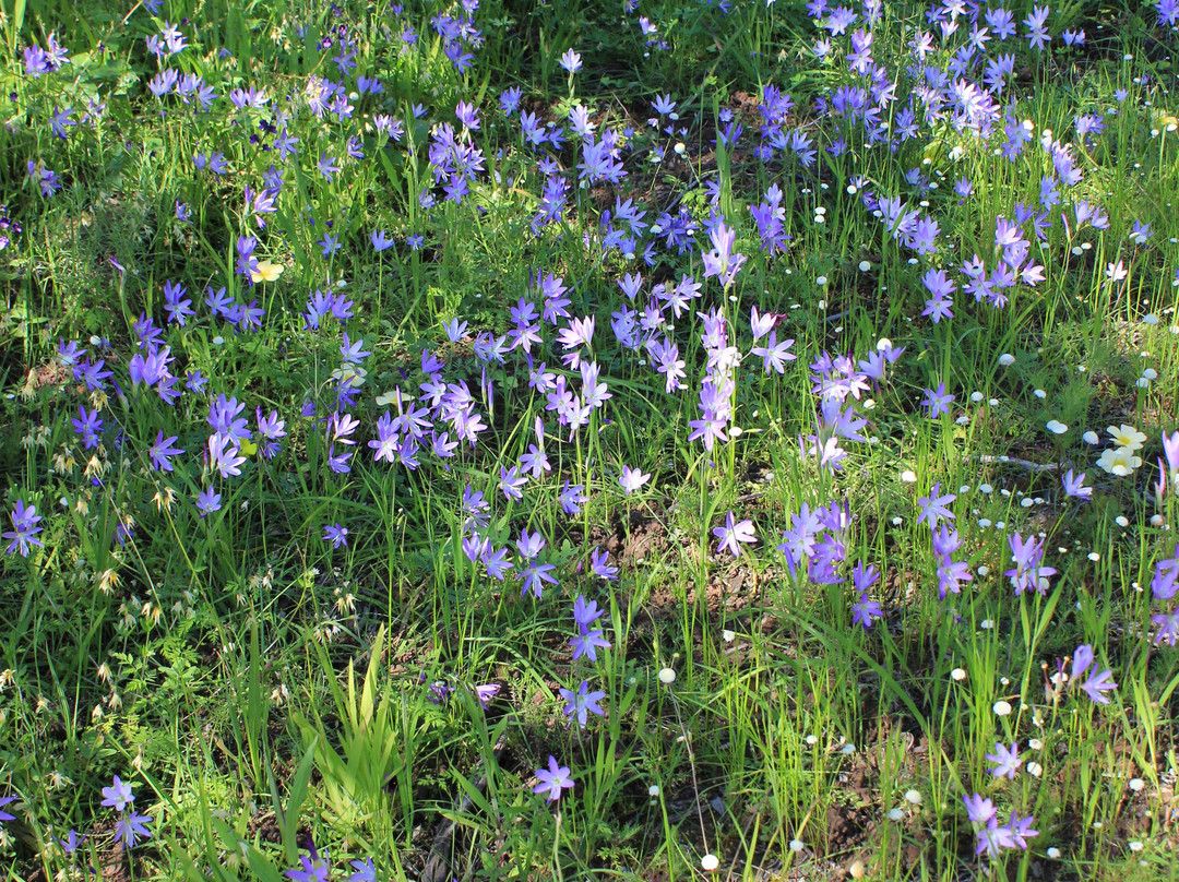 Oorlogskloof Nature Reserve景点图片