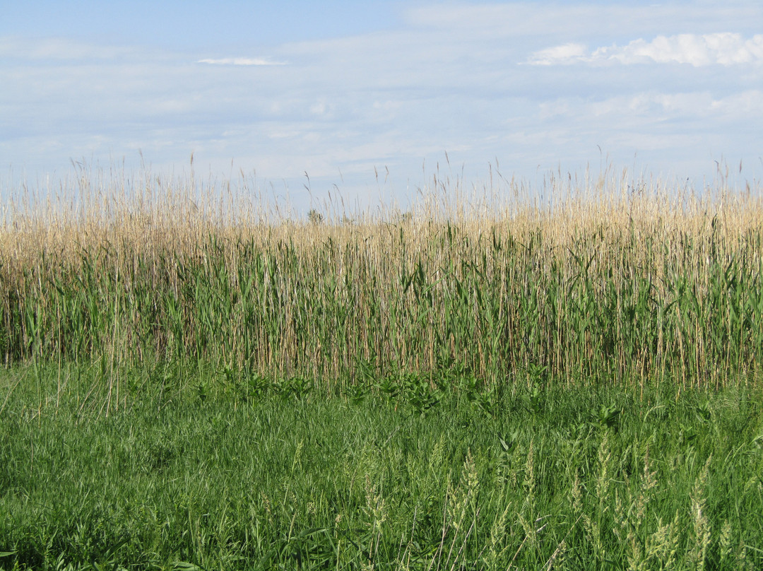 Spirit Mound-Vermillion必去景点