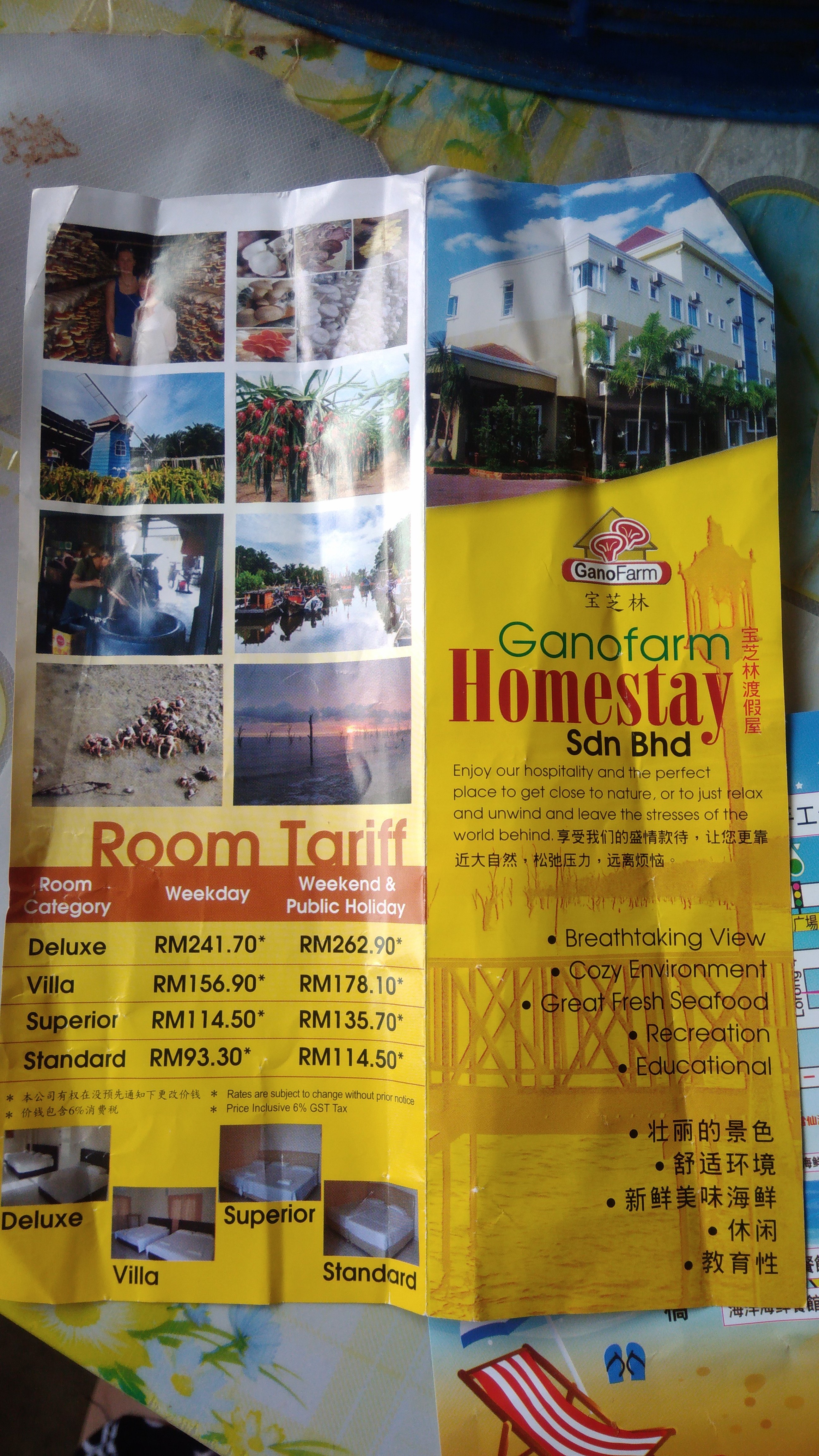Ganofarm Homestay-官方