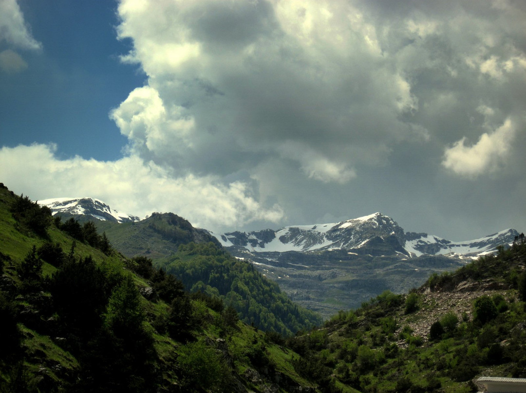 Guesthouse Kasaria主图