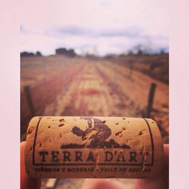 Vinedos y Bodegas Terra D´art景点图片