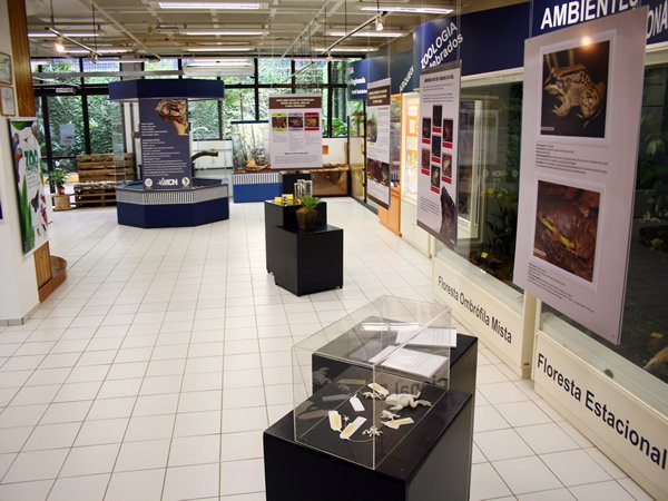 Univates University Museum of Natural Science景点图片