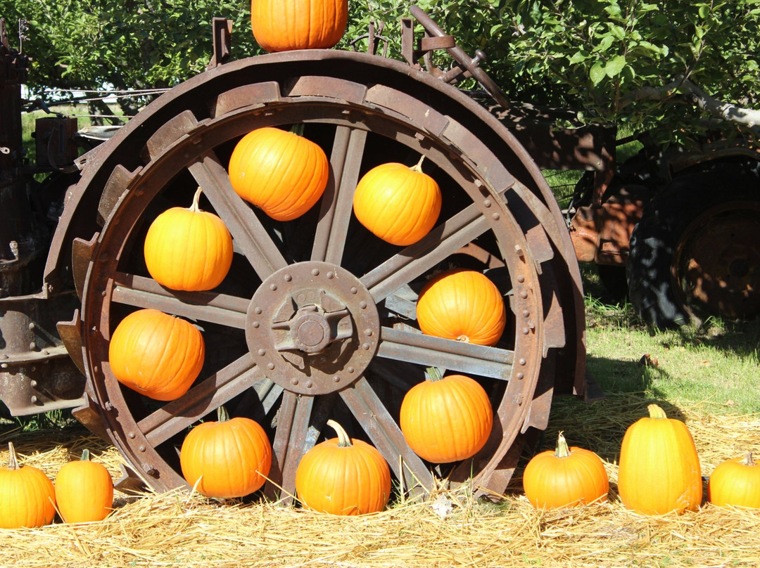 Parsons Fruit Stand-Keremeos必去景点
