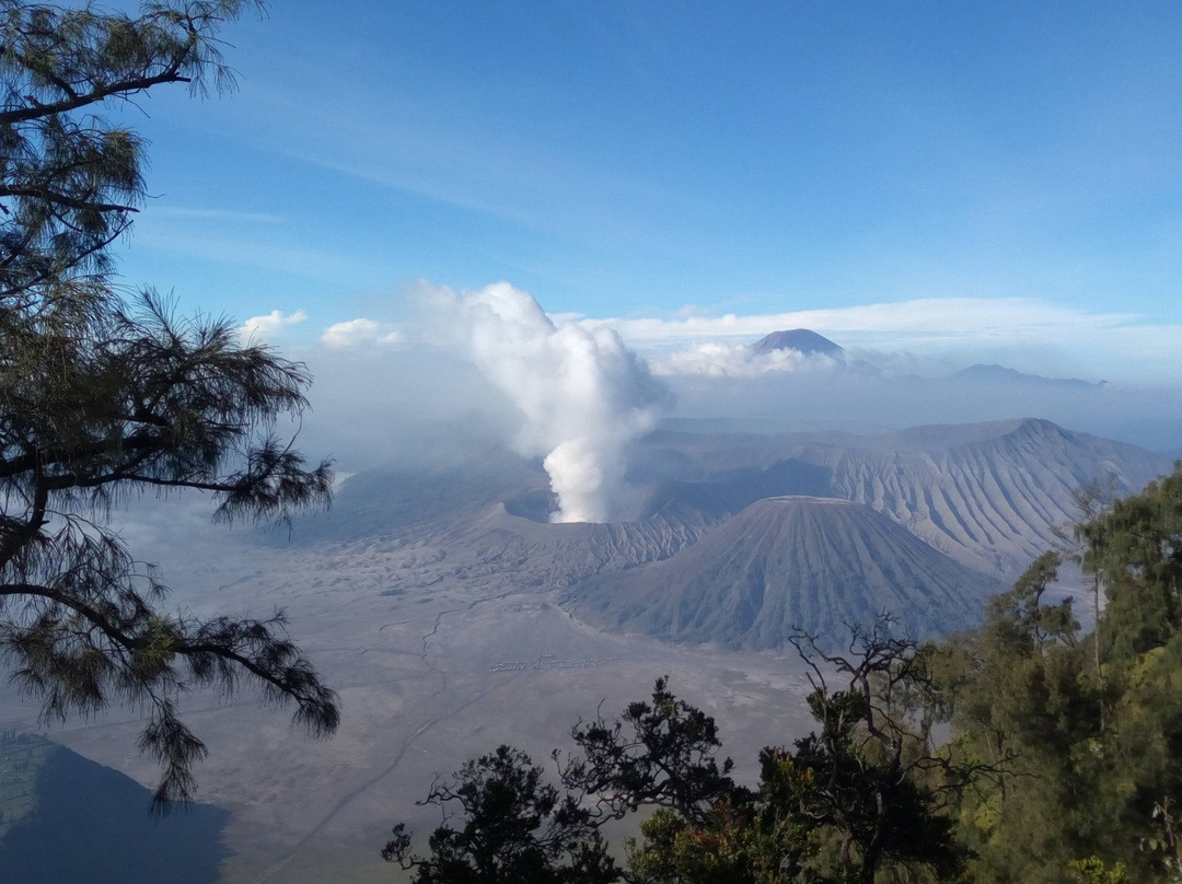 Java Brave Tour-玛琅必去景点