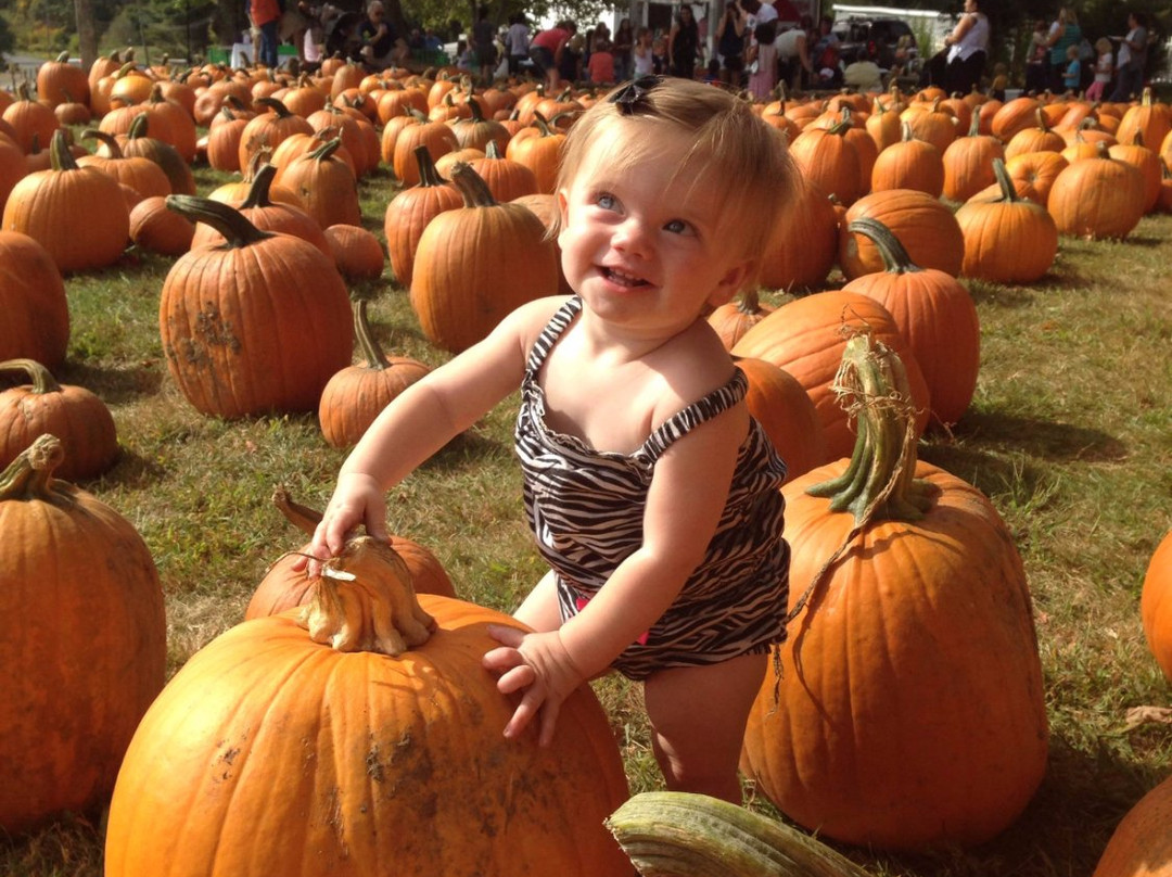 March Farms-Bethlehem必去景点