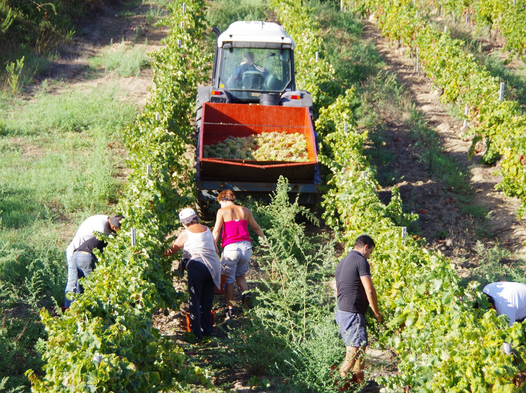 Domaine de Solenzara