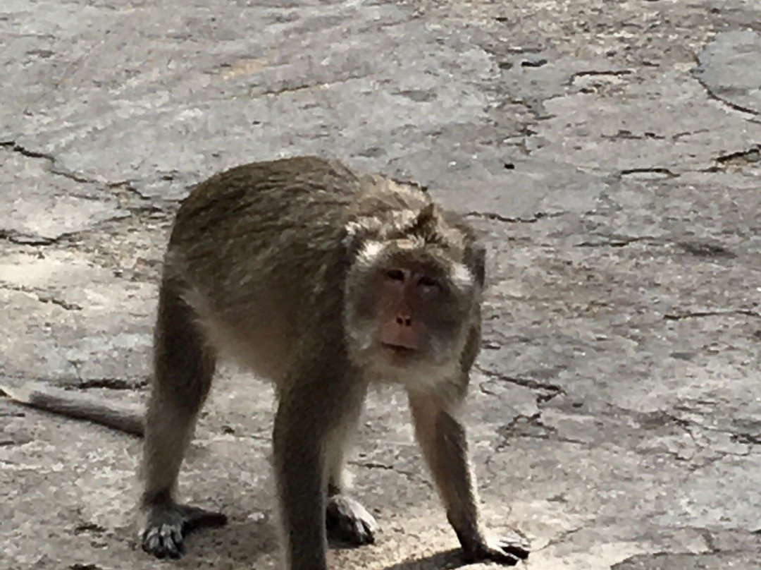 Bora Tuk Tuk Tour-马德望必去景点