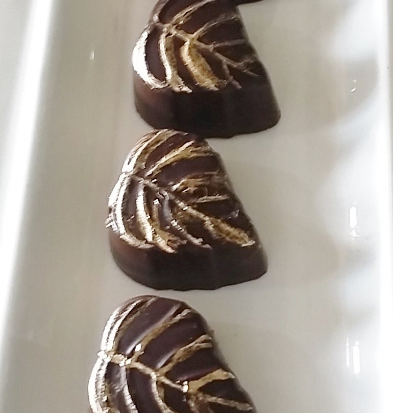 La Anita Rainforest Chocolate Tour景点图片