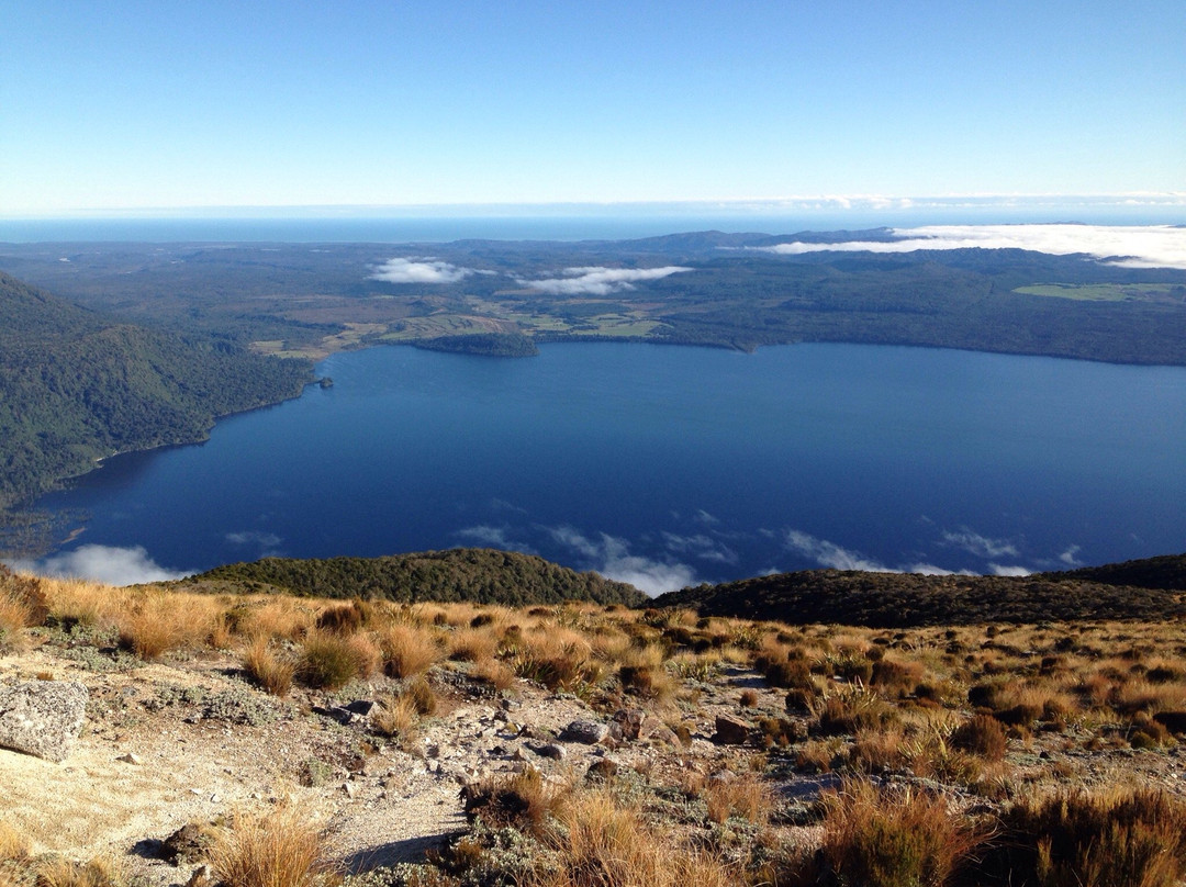 Te Kinga Summit Walk-Moana必去景点