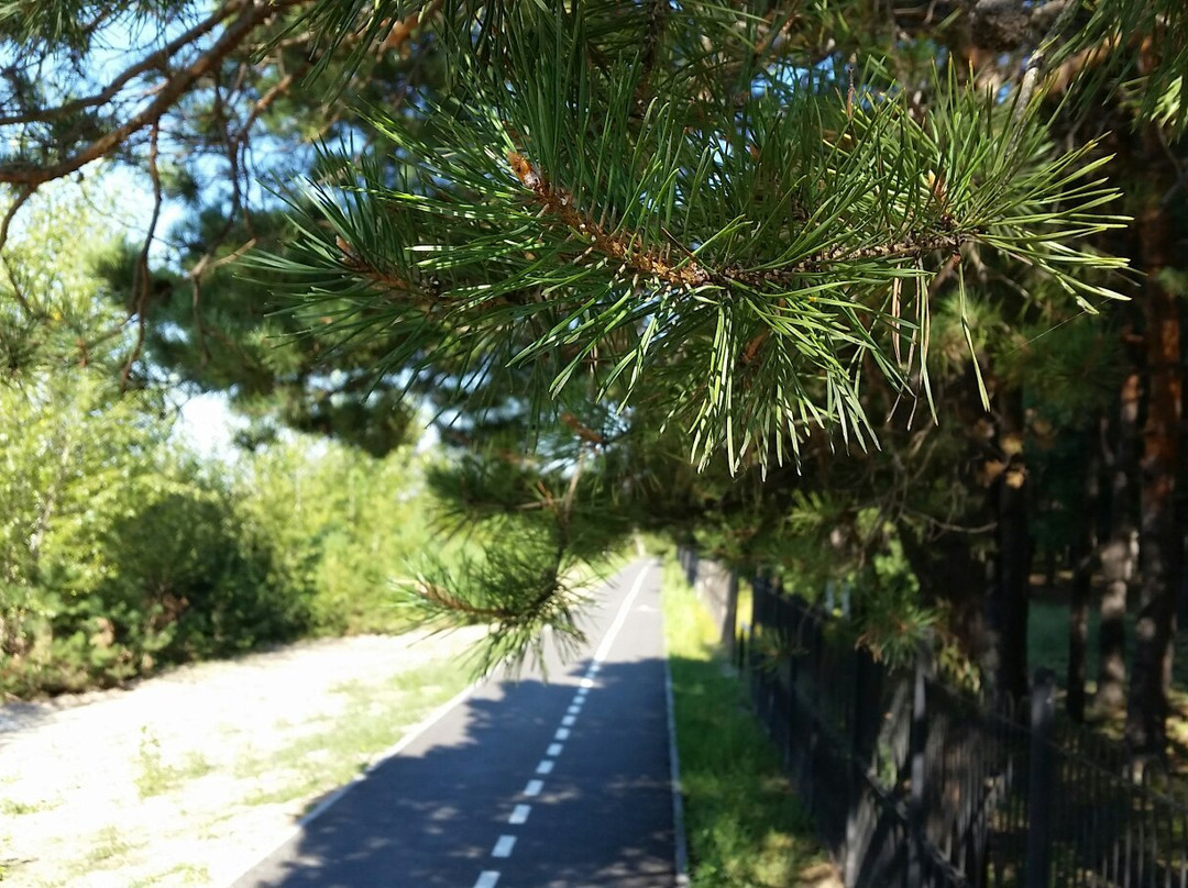 Forest Park of Gagarin