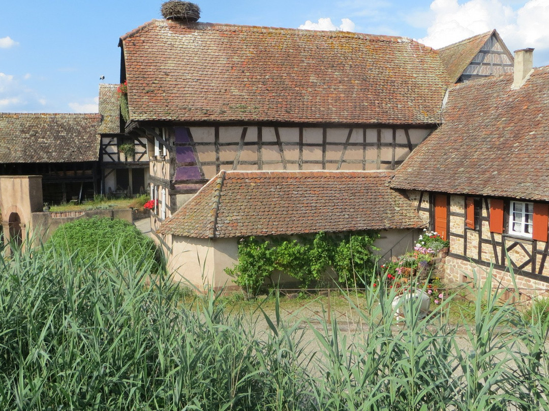 Parc Attractions Haut Rhin-科尔马必去景点