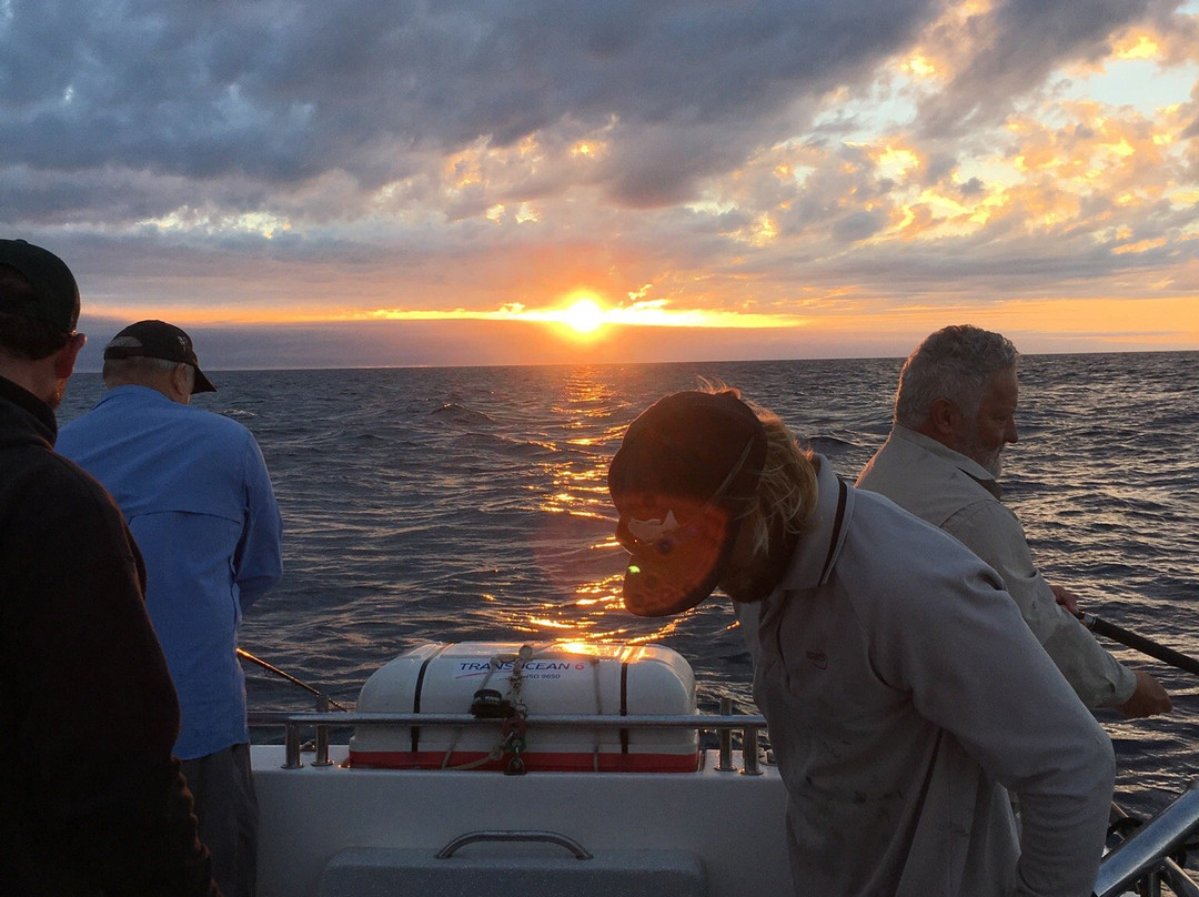 Fishing Offshore 1770 Charters-1770镇必去景点