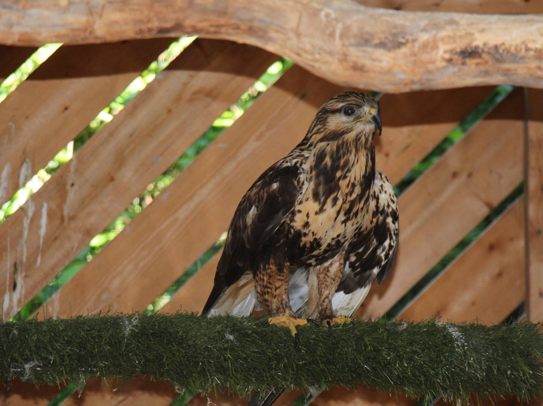 Refuge Pageau-Amos必去景点