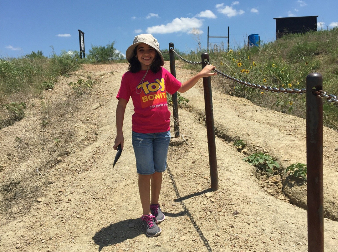 Mineral Wells Fossil Park-矿泉井城必去景点