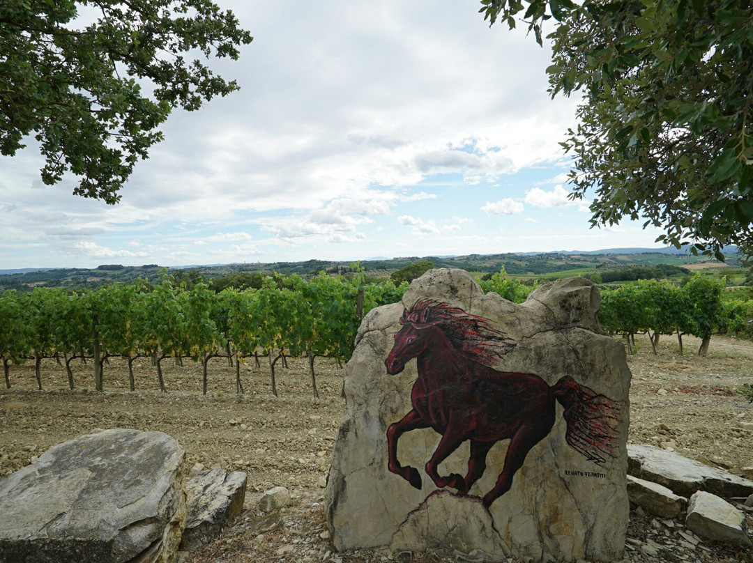 Azienda Agricola Losi Querciavalle景点图片