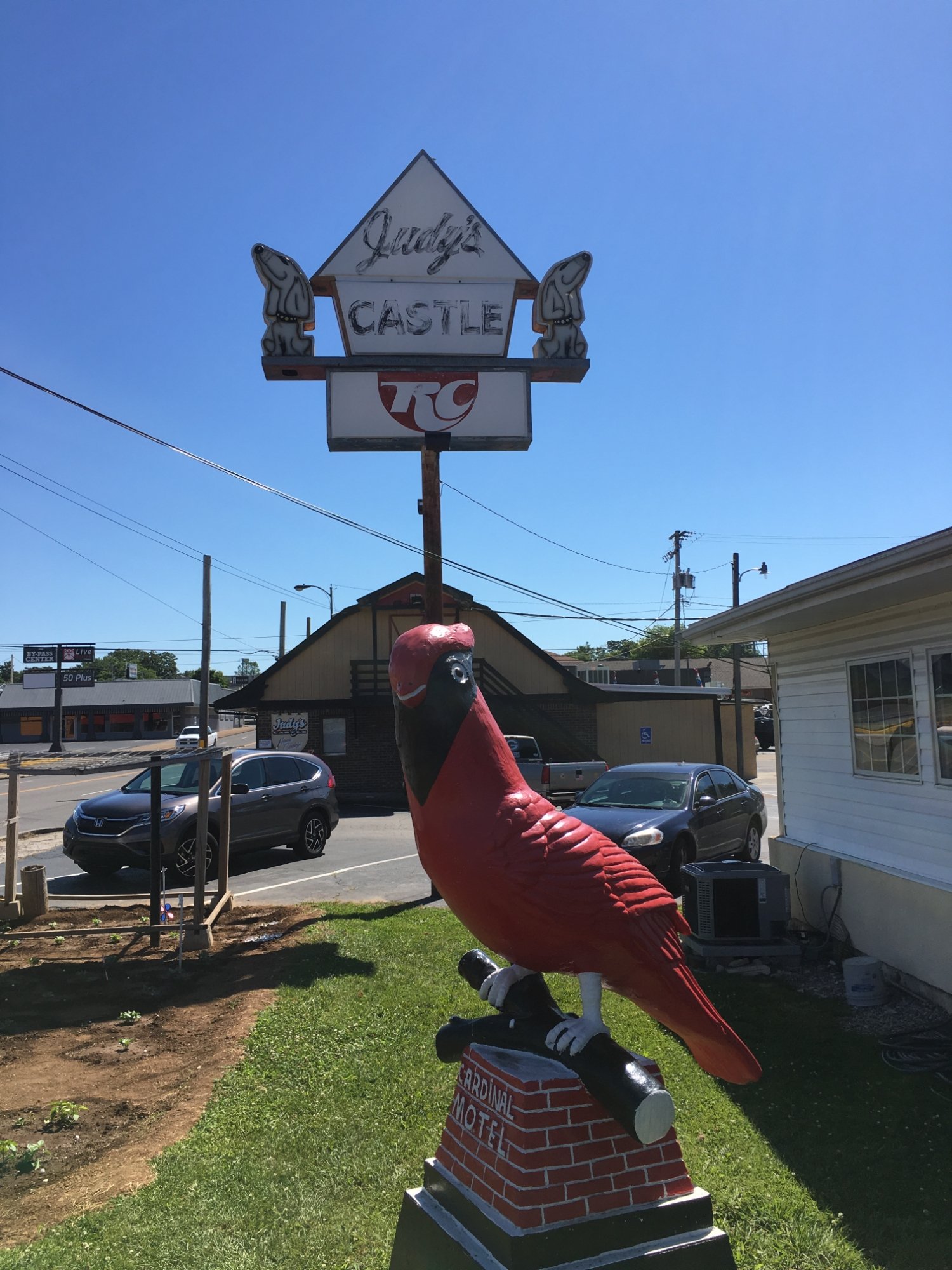 Cardinal Motel-浴室