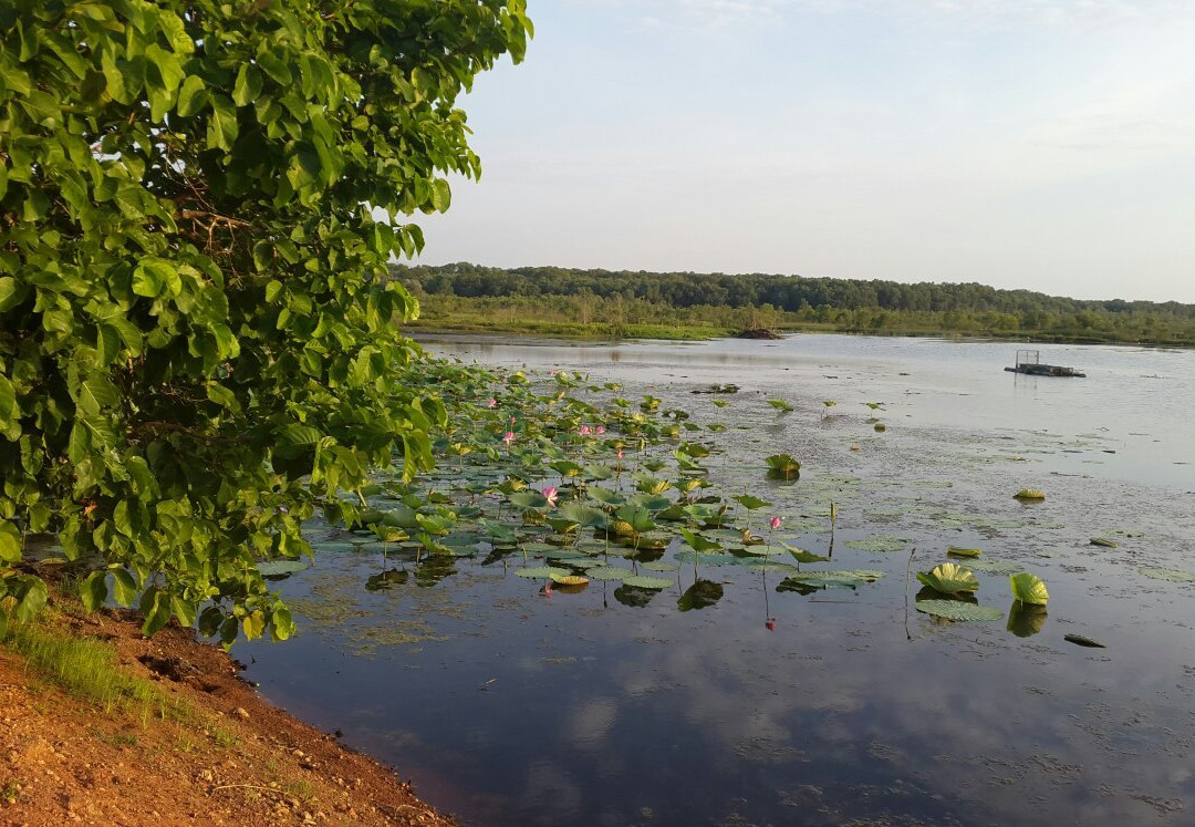Manton Dam-达尔文市必去景点