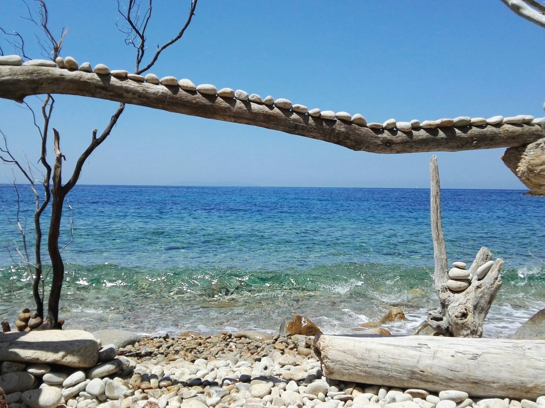 Spiaggia di Ripa Barata景点图片
