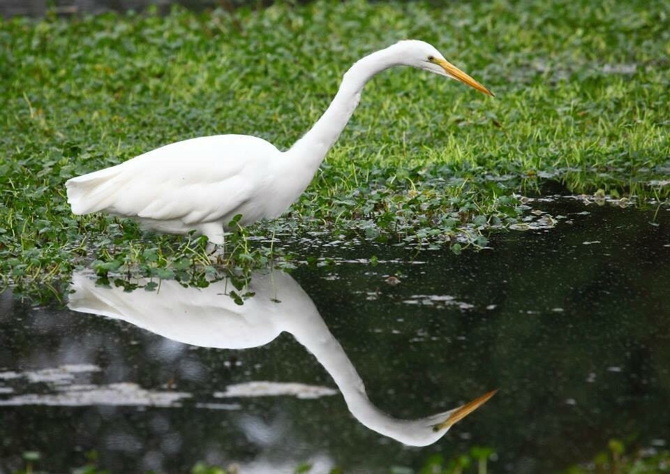 Browns Ferry Park-图拉丁必去景点