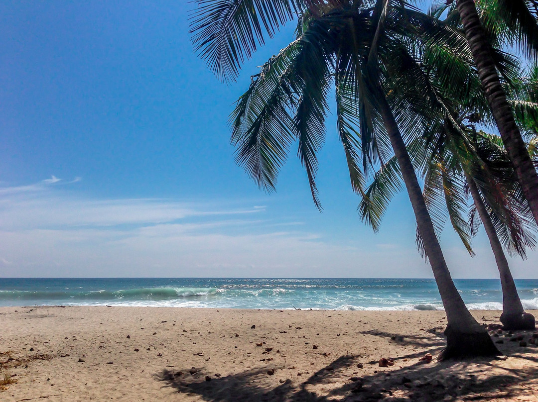 Playa Carmen景点图片