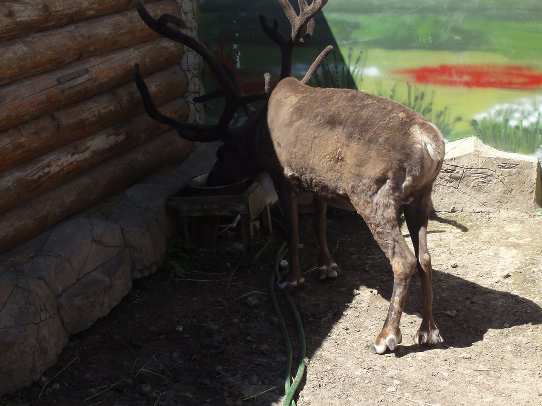 Balu Zoo-阿纳帕必去景点