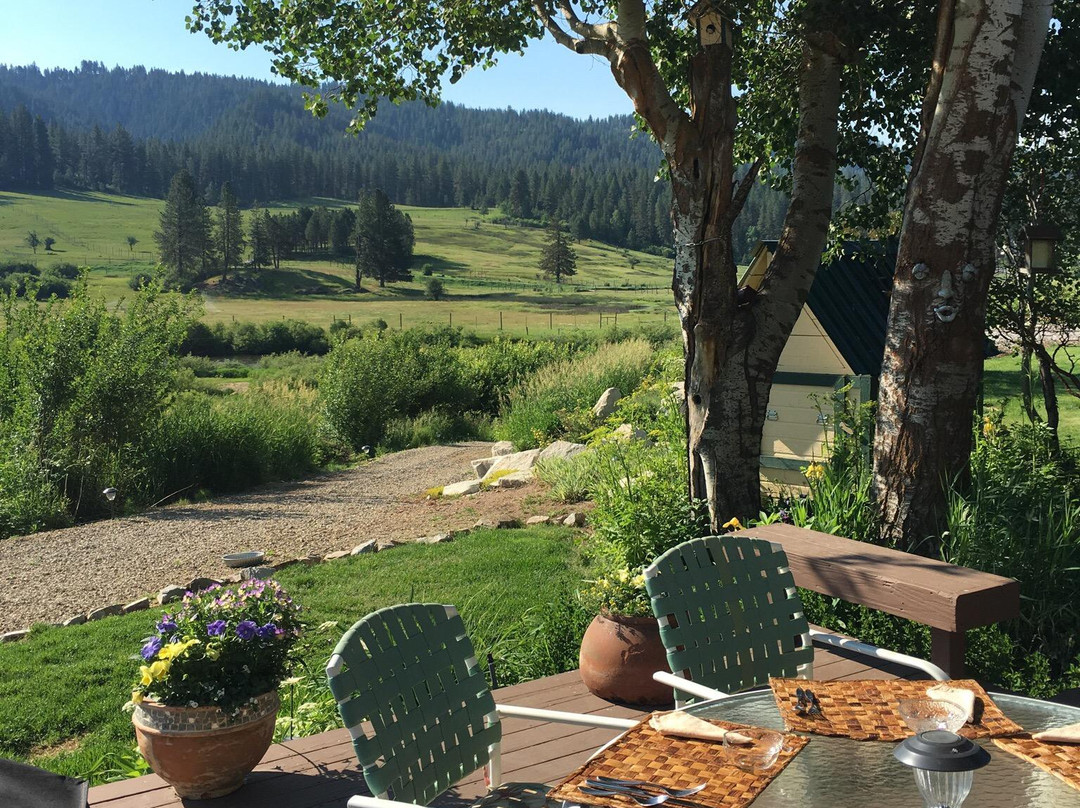 Walk on the Wild Side Bed and Breakfast主图