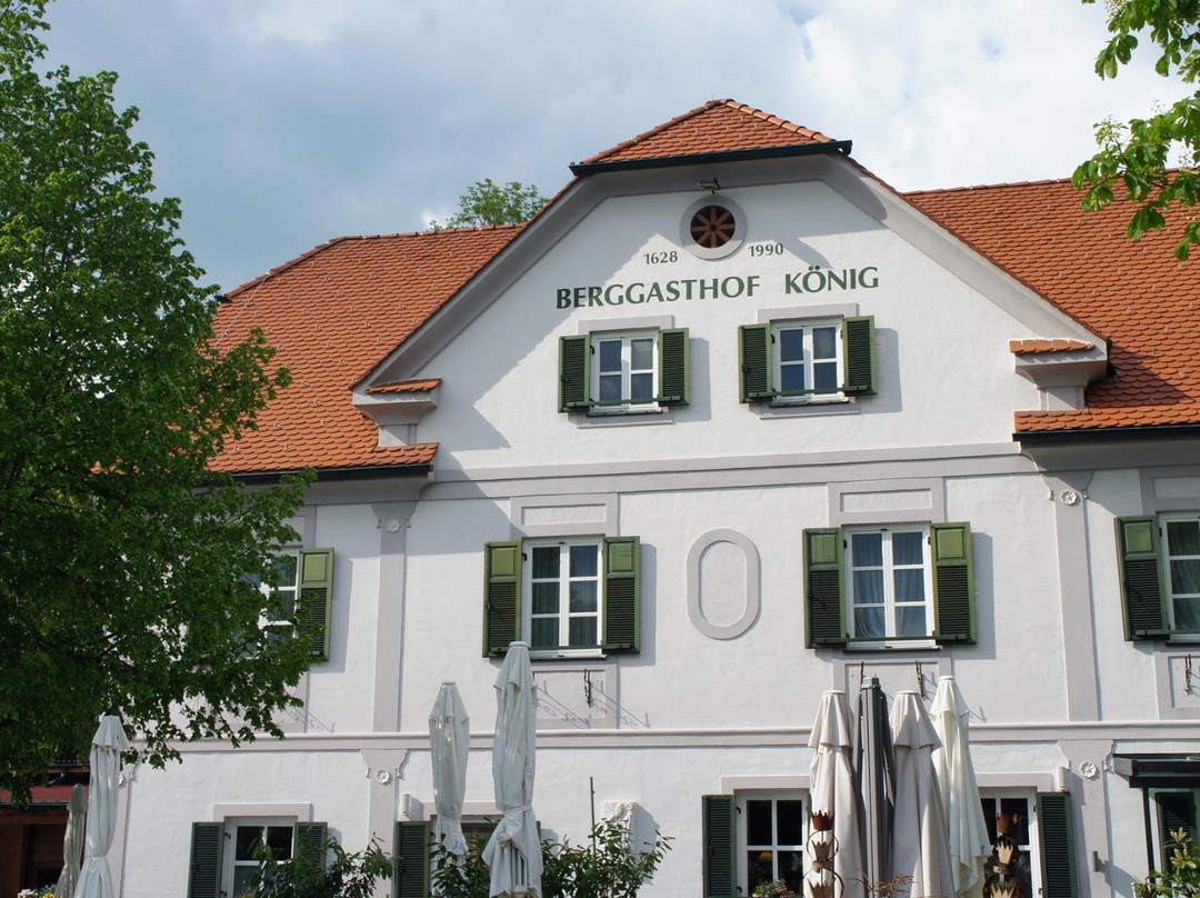 Pöllauberg酒店住宿-Berggasthof Koenig