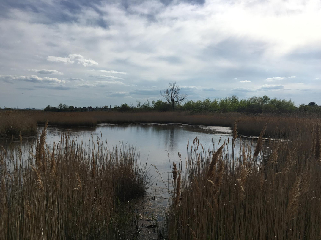 Belle Isle Marsh Reservation-波士顿必去景点