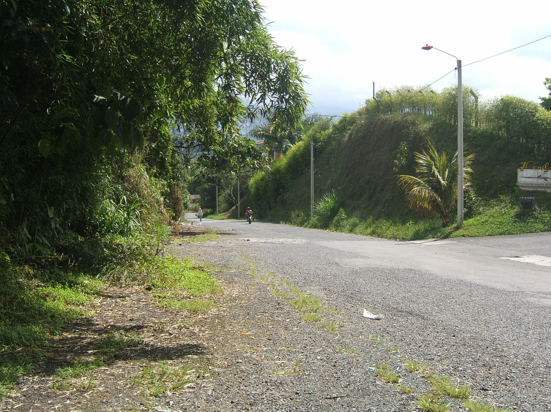 Bonita Farm-佩雷拉必去景点