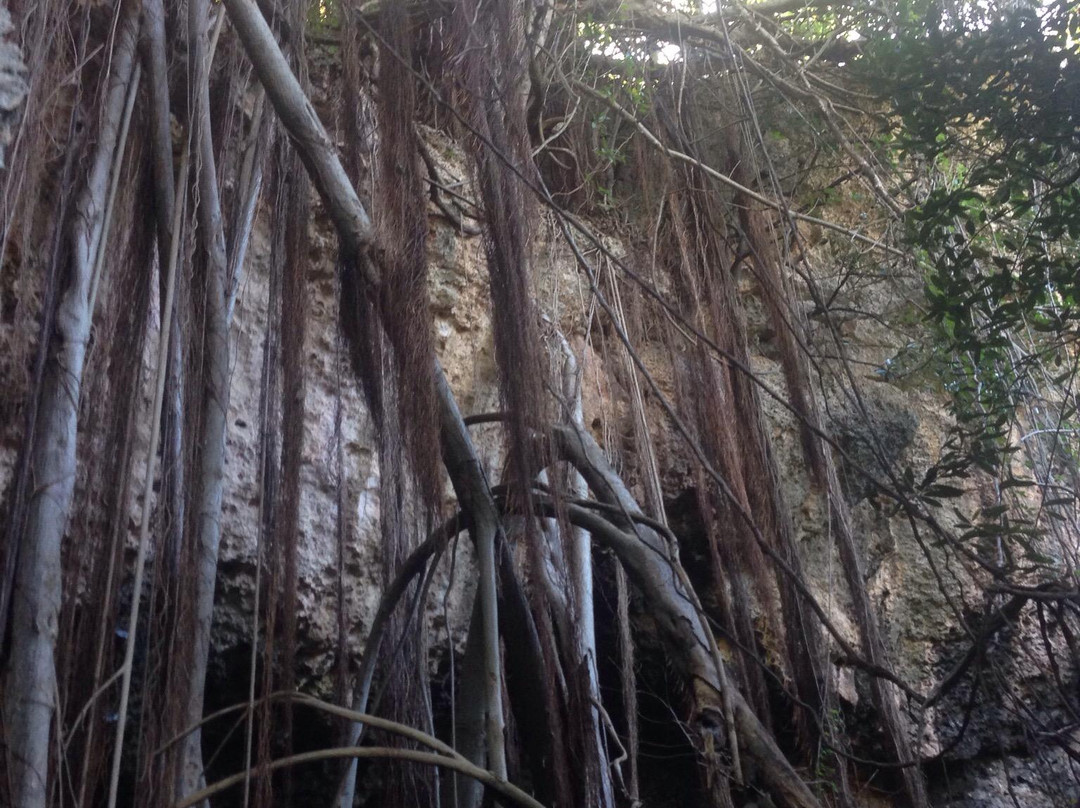 Darby's Cave-巴布达必去景点