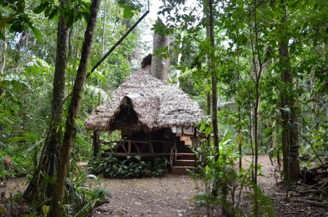 Max Jungle-Rurrenabaque必去景点