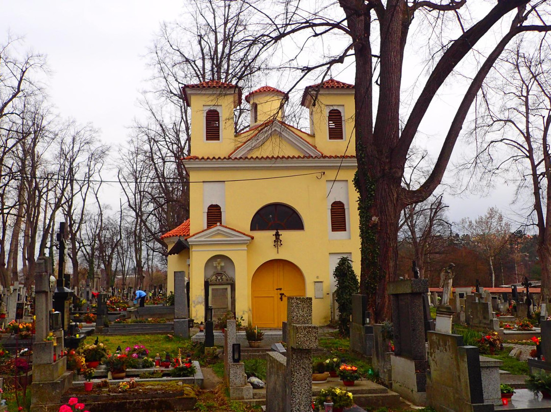 Church of st. Vitus景点图片