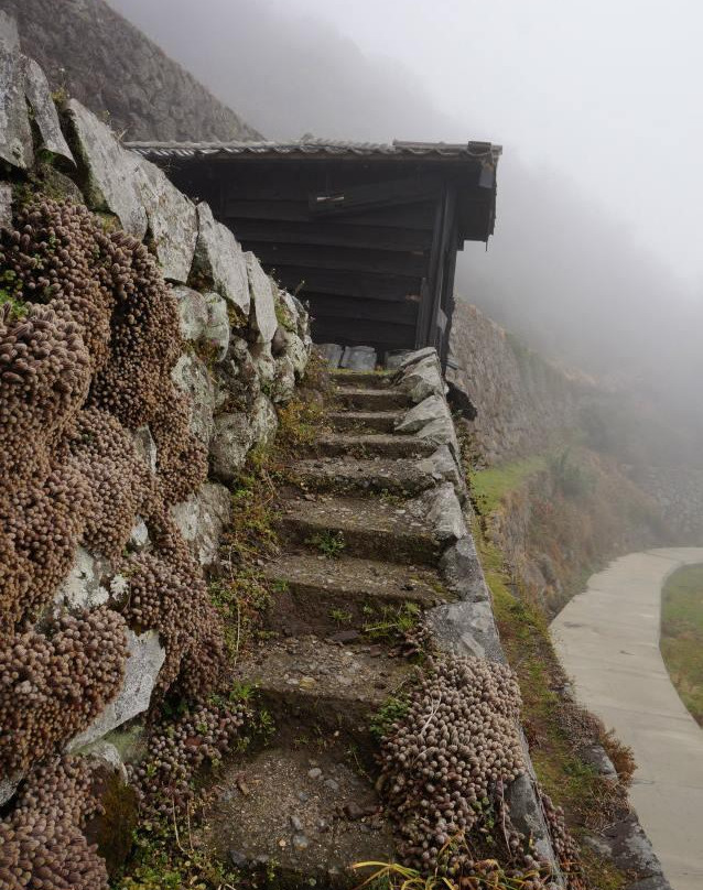 Tenku Rice Terraces-上关町必去景点