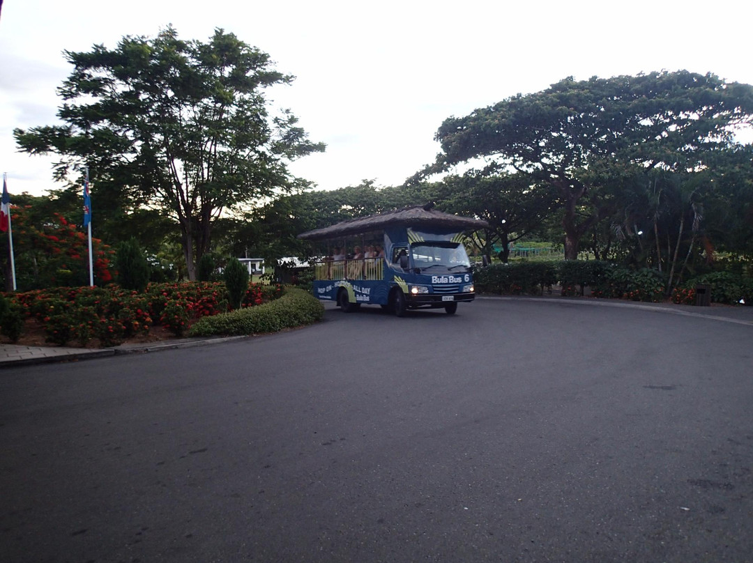 Bula Bus-丹娜努岛必去景点