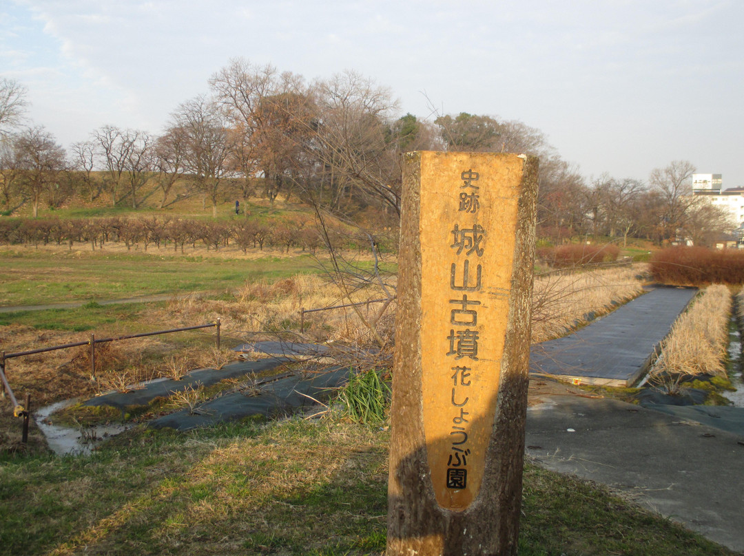 Tsudoshiroyama Ancient Tomb-藤井寺市必去景点