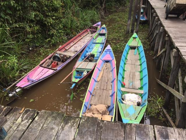 Wild Orangutan Tours - Day Tours-Pangkalan Bun必去景点