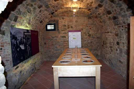 Museo Archeologico e della Vite e del Vino景点图片