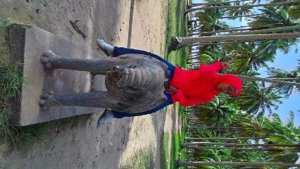 Kijing Beach-山口洋必去景点