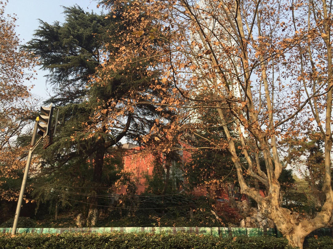 鼓楼公园-南京市必去景点