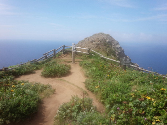 Cape Gorota-礼文町必去景点